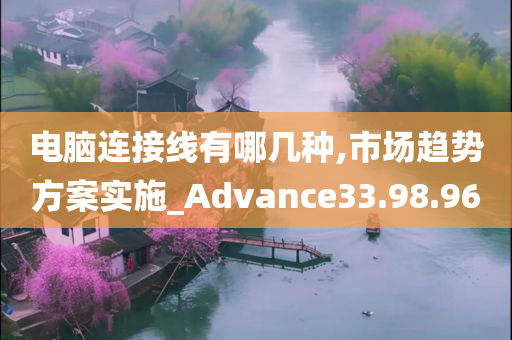 电脑连接线有哪几种,市场趋势方案实施_Advance33.98.96