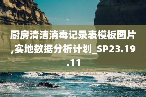 厨房清洁消毒记录表模板图片,实地数据分析计划_SP23.19.11