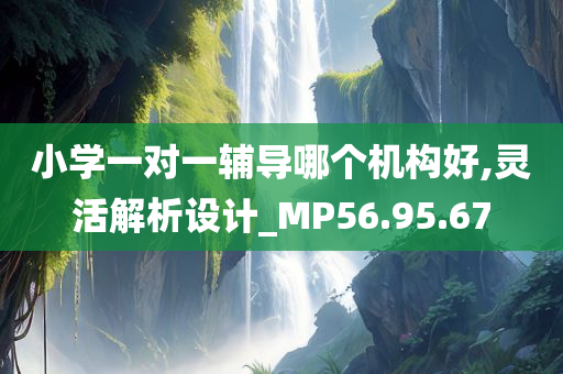 小学一对一辅导哪个机构好,灵活解析设计_MP56.95.67