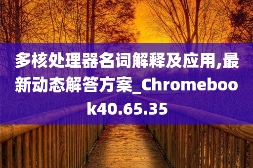 多核处理器名词解释及应用,最新动态解答方案_Chromebook40.65.35