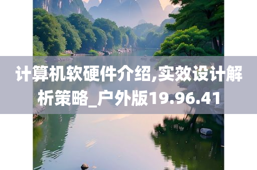 计算机软硬件介绍,实效设计解析策略_户外版19.96.41