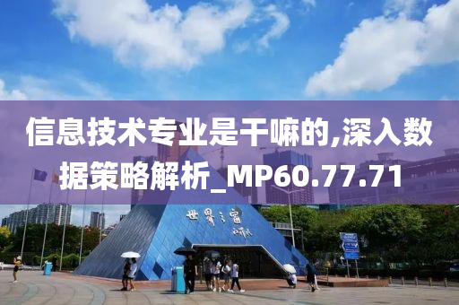 信息技术专业是干嘛的,深入数据策略解析_MP60.77.71