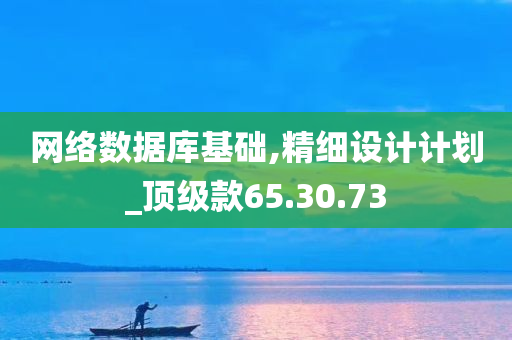 网络数据库基础,精细设计计划_顶级款65.30.73