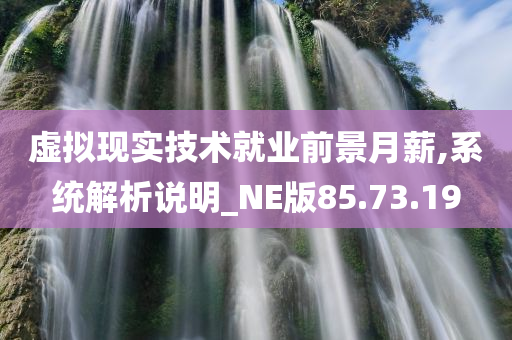 虚拟现实技术就业前景月薪,系统解析说明_NE版85.73.19