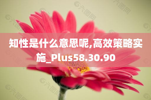 知性是什么意思呢,高效策略实施_Plus58.30.90