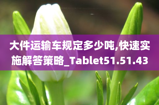 大件运输车规定多少吨,快速实施解答策略_Tablet51.51.43