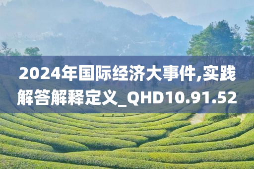 2024年国际经济大事件,实践解答解释定义_QHD10.91.52