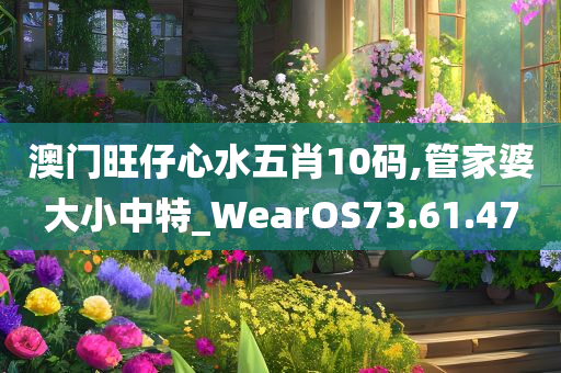 澳门旺仔心水五肖10码,管家婆大小中特_WearOS73.61.47