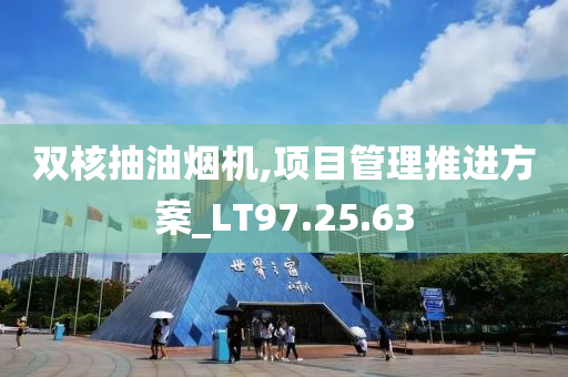 双核抽油烟机,项目管理推进方案_LT97.25.63