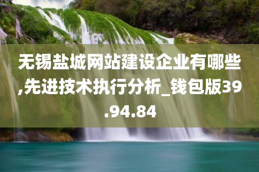 无锡盐城网站建设企业有哪些,先进技术执行分析_钱包版39.94.84