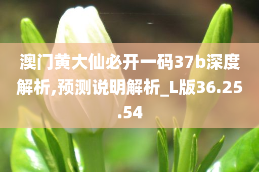 澳门黄大仙必开一码37b深度解析,预测说明解析_L版36.25.54