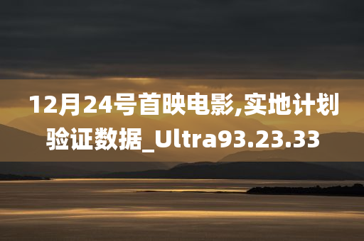 12月24号首映电影,实地计划验证数据_Ultra93.23.33