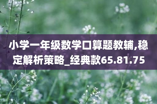 小学一年级数学口算题教辅,稳定解析策略_经典款65.81.75