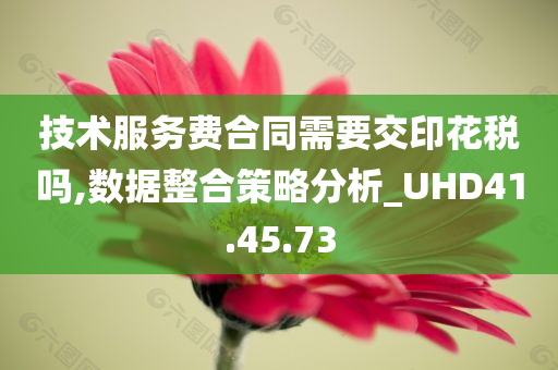 技术服务费合同需要交印花税吗,数据整合策略分析_UHD41.45.73