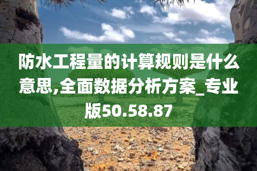 防水工程量的计算规则是什么意思,全面数据分析方案_专业版50.58.87