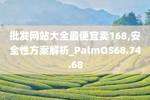 批发网站大全最便宜卖168,安全性方案解析_PalmOS68.74.68