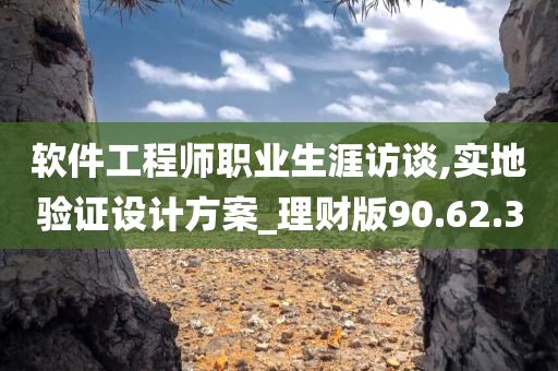 软件工程师职业生涯访谈,实地验证设计方案_理财版90.62.30