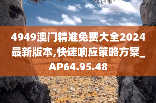 4949澳门精准免费大全2024最新版本,快速响应策略方案_AP64.95.48