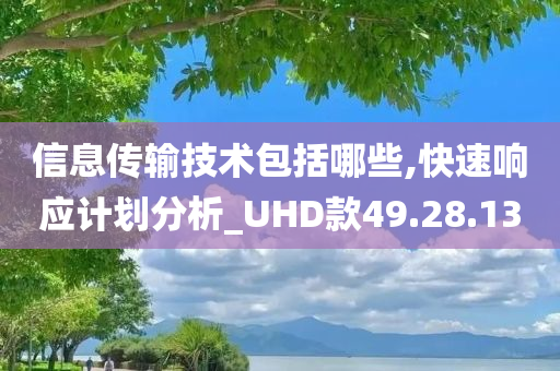 信息传输技术包括哪些,快速响应计划分析_UHD款49.28.13