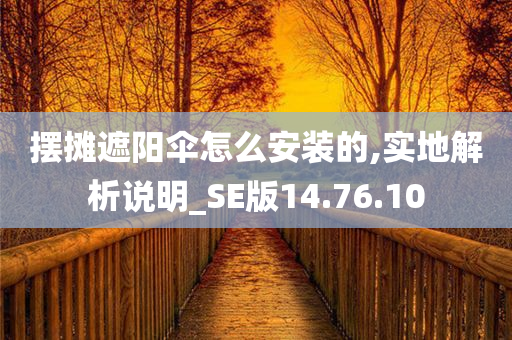 摆摊遮阳伞怎么安装的,实地解析说明_SE版14.76.10