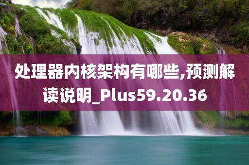 处理器内核架构有哪些,预测解读说明_Plus59.20.36