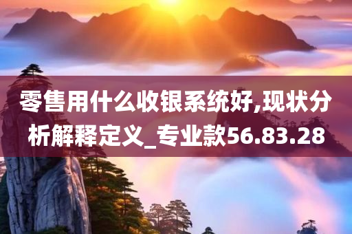 零售用什么收银系统好,现状分析解释定义_专业款56.83.28