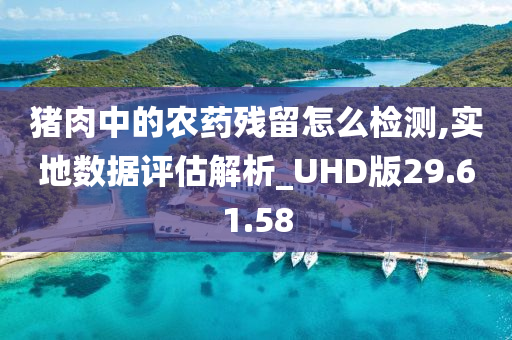 猪肉中的农药残留怎么检测,实地数据评估解析_UHD版29.61.58