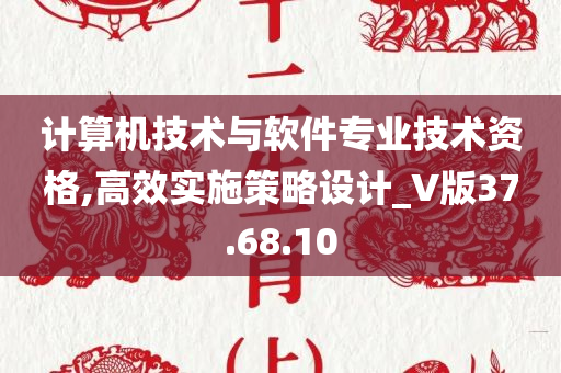 计算机技术与软件专业技术资格,高效实施策略设计_V版37.68.10