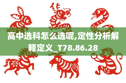 高中选科怎么选呢,定性分析解释定义_T78.86.28