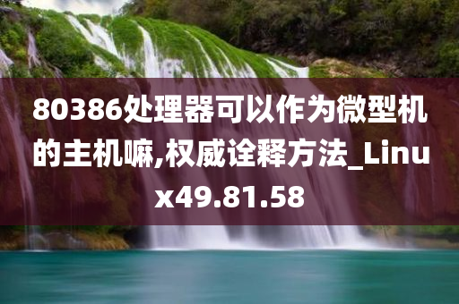 80386处理器可以作为微型机的主机嘛,权威诠释方法_Linux49.81.58