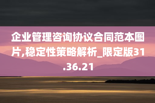 企业管理咨询协议合同范本图片,稳定性策略解析_限定版31.36.21