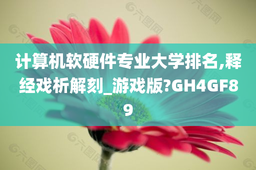 计算机软硬件专业大学排名,释经戏析解刻_游戏版?GH4GF89