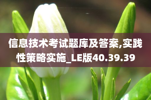 信息技术考试题库及答案,实践性策略实施_LE版40.39.39