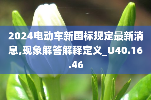 2024电动车新国标规定最新消息,现象解答解释定义_U40.16.46