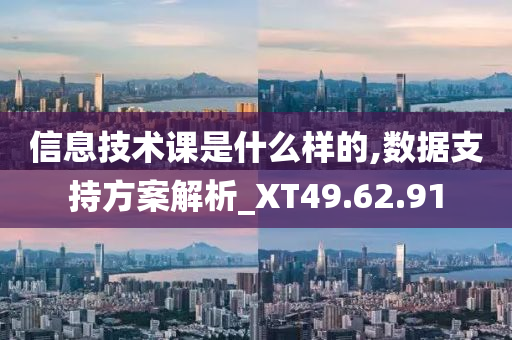 信息技术课是什么样的,数据支持方案解析_XT49.62.91