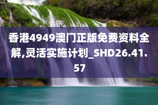 香港4949澳门正版免费资料全解,灵活实施计划_SHD26.41.57