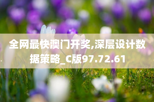 全网最快澳门开奖,深层设计数据策略_C版97.72.61