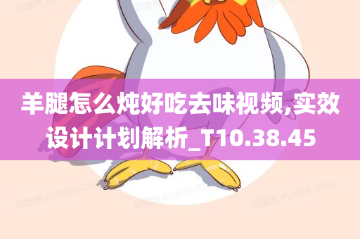 羊腿怎么炖好吃去味视频,实效设计计划解析_T10.38.45