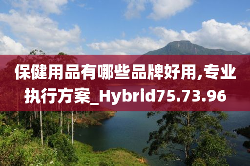 保健用品有哪些品牌好用,专业执行方案_Hybrid75.73.96