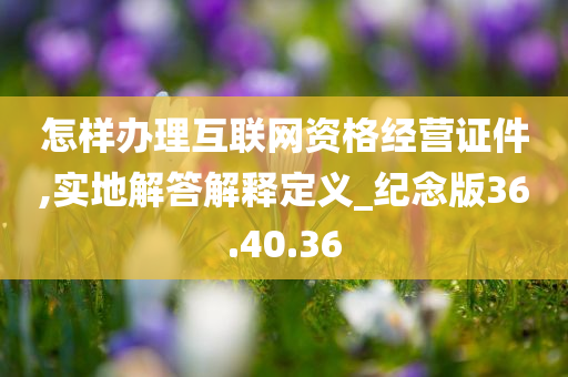 怎样办理互联网资格经营证件,实地解答解释定义_纪念版36.40.36