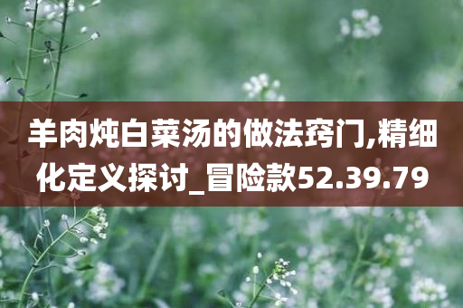 羊肉炖白菜汤的做法窍门,精细化定义探讨_冒险款52.39.79