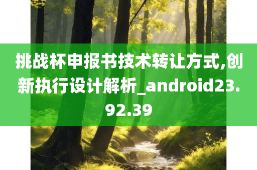 挑战杯申报书技术转让方式,创新执行设计解析_android23.92.39