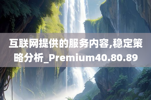 互联网提供的服务内容,稳定策略分析_Premium40.80.89