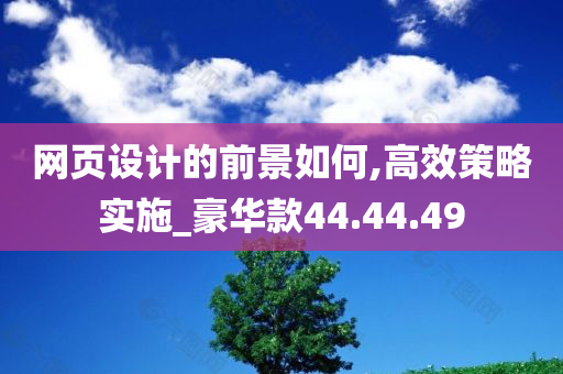 网页设计的前景如何,高效策略实施_豪华款44.44.49