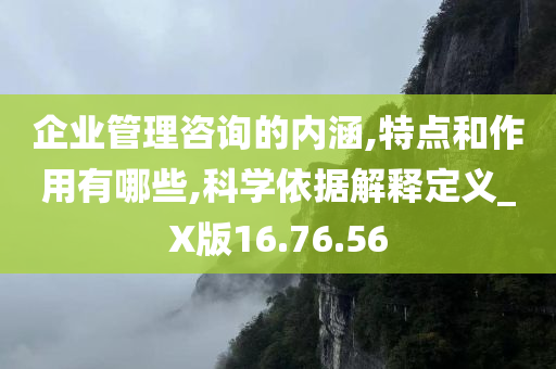 企业管理咨询的内涵,特点和作用有哪些,科学依据解释定义_X版16.76.56