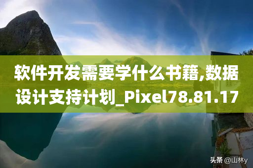 软件开发需要学什么书籍,数据设计支持计划_Pixel78.81.17