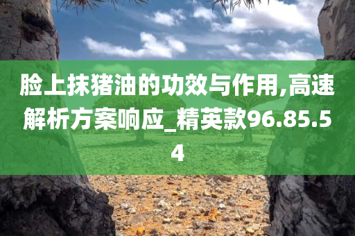 脸上抹猪油的功效与作用,高速解析方案响应_精英款96.85.54