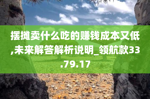 摆摊卖什么吃的赚钱成本又低,未来解答解析说明_领航款33.79.17