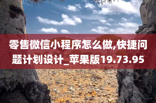 零售微信小程序怎么做,快捷问题计划设计_苹果版19.73.95