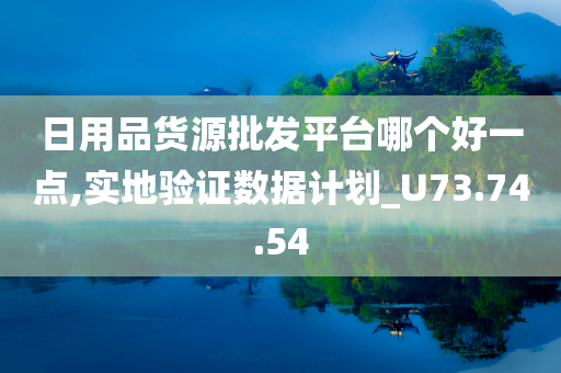 日用品货源批发平台哪个好一点,实地验证数据计划_U73.74.54